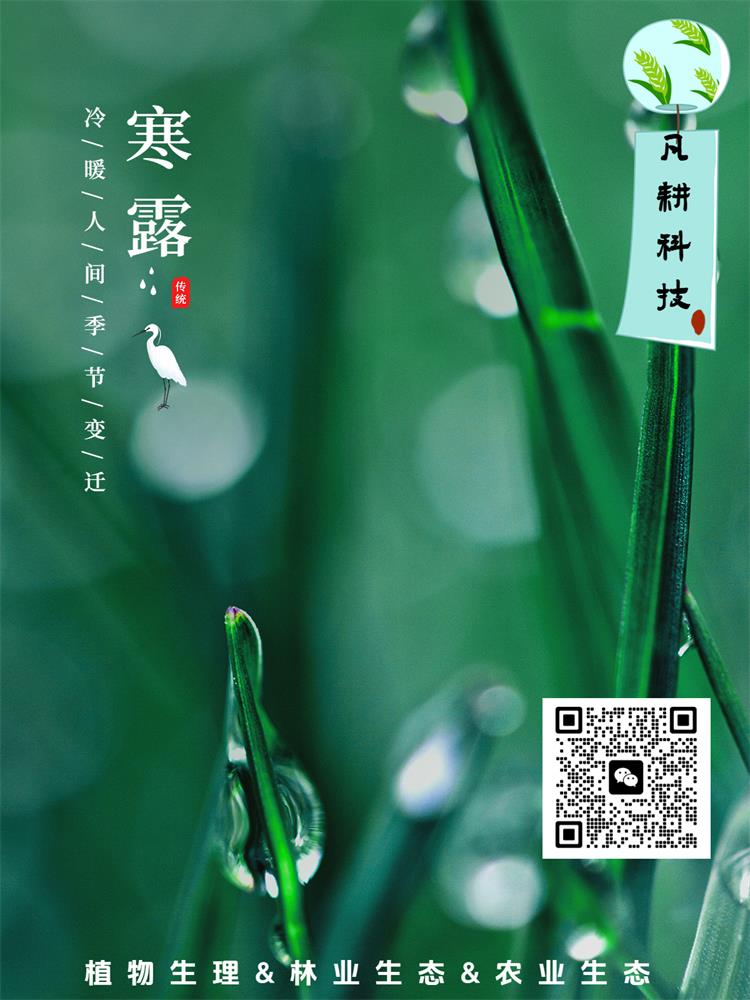 節氣寒露曬風景簡約風plog模板.jpg